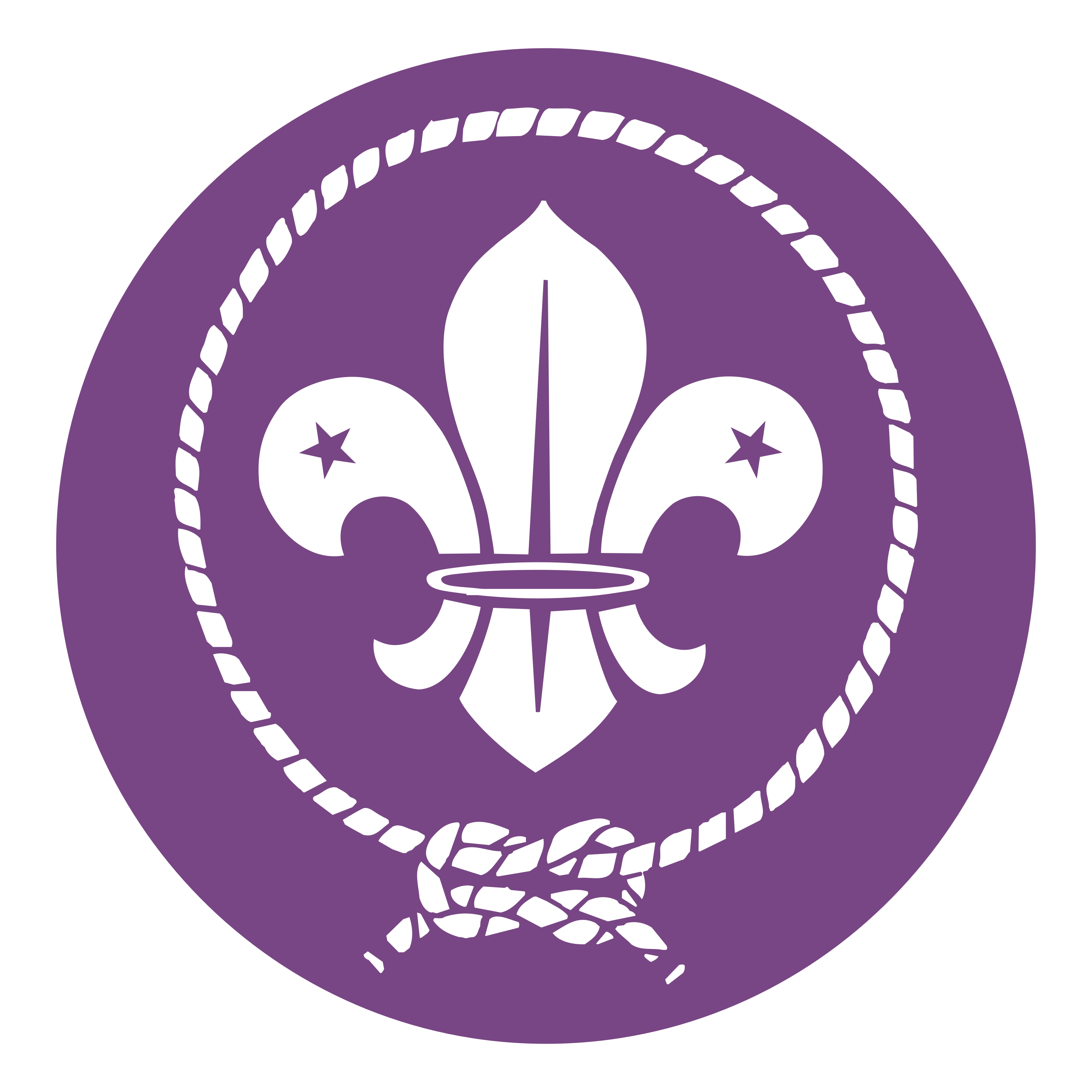 Logo WOSM